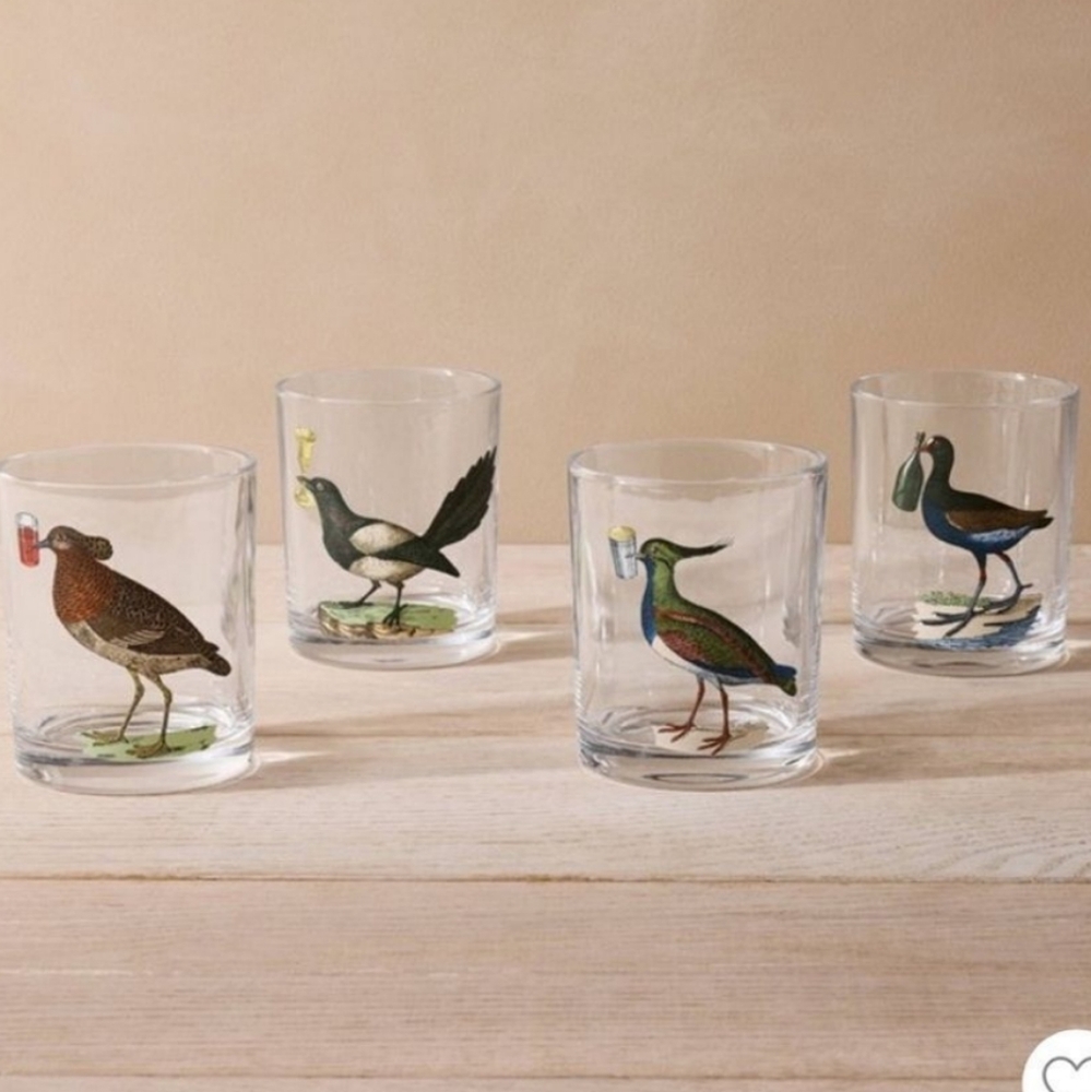 John Derian Multicolor Assorted bird highball Designs Cocktail Glasses 4 pcs Set